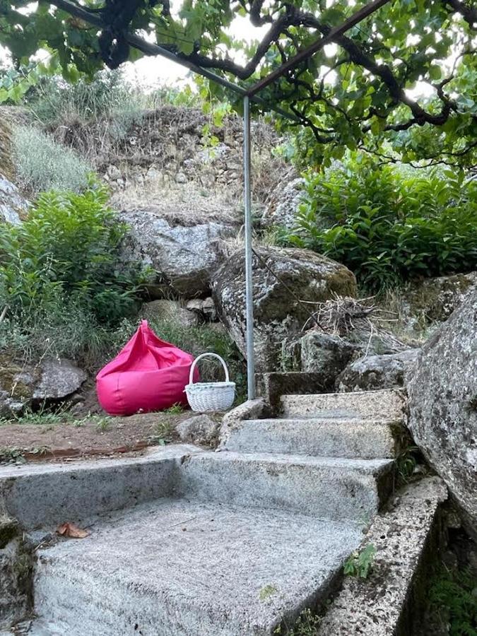 マンテイガスA Casa Da Rapariga De Cabelo Azulアパートメント エクステリア 写真