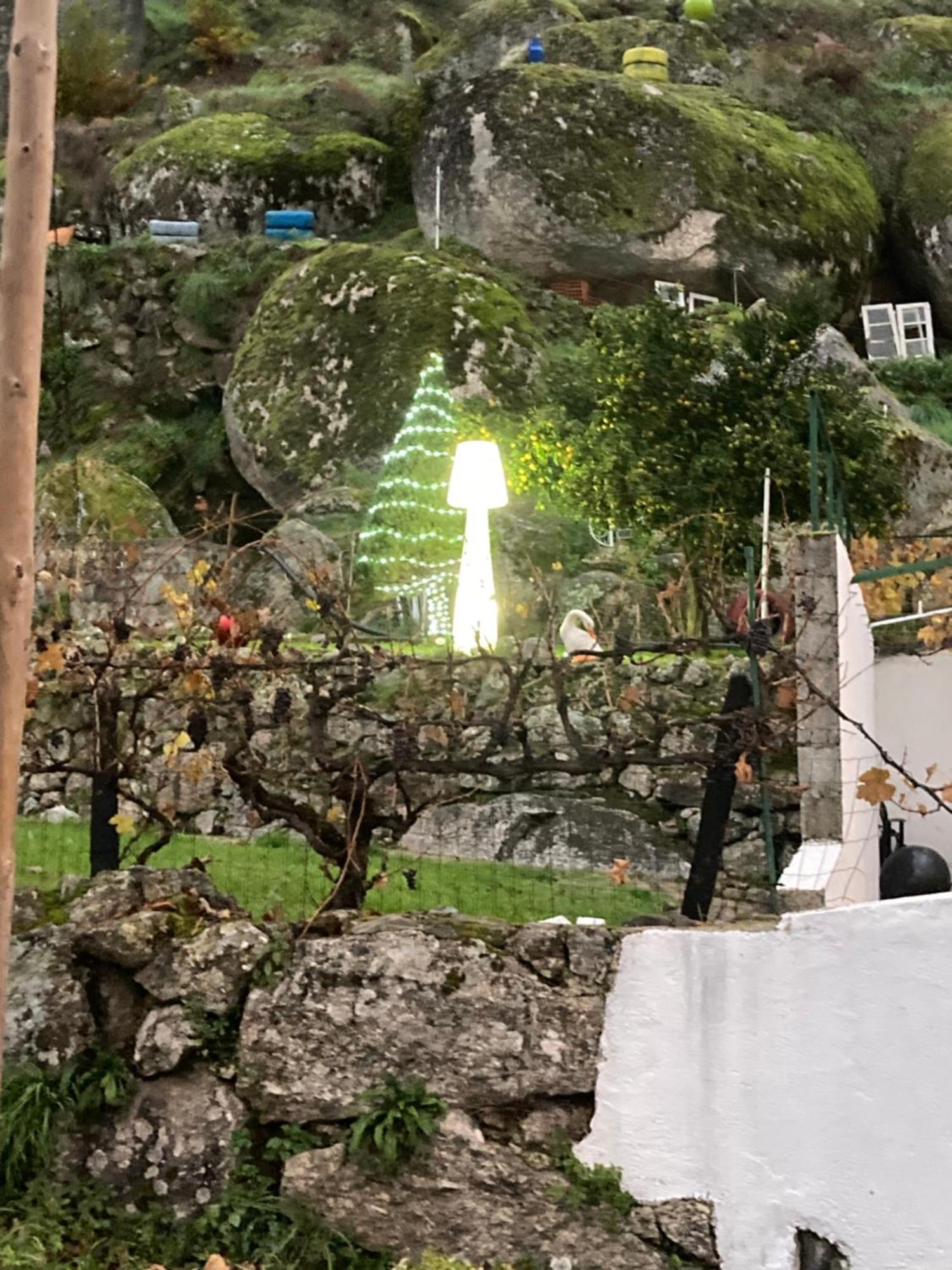 マンテイガスA Casa Da Rapariga De Cabelo Azulアパートメント エクステリア 写真